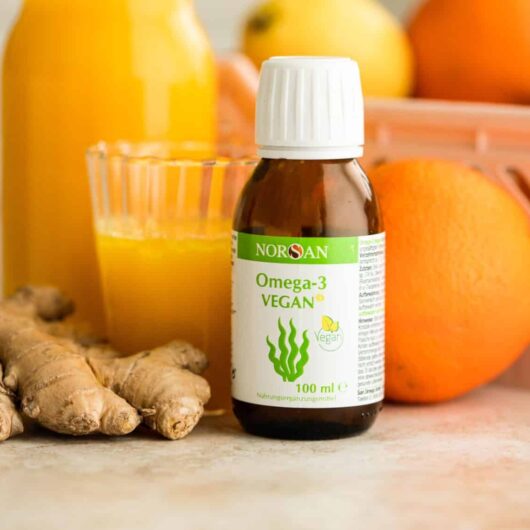 ingwer-kurkuma-shots-mit-omega-3-norsan-rezept