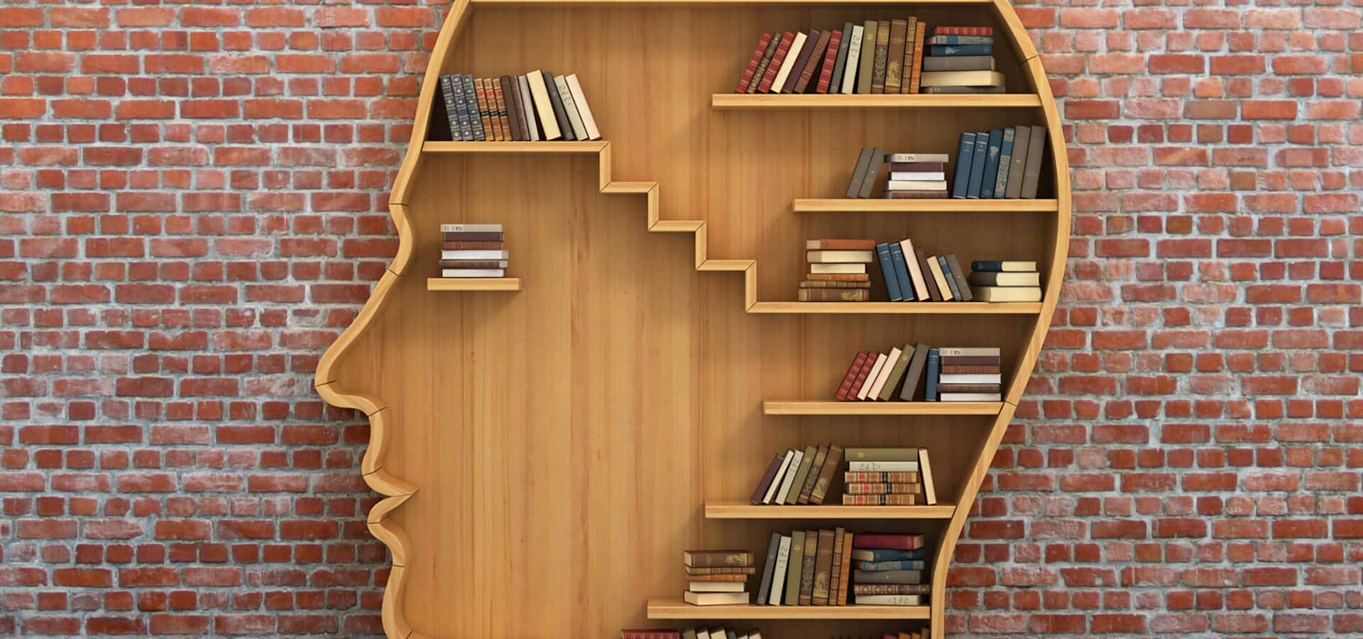 buecher kopf wissen omega-3