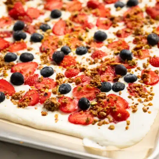 Frozen Joghurt Riegel mit Omega-3