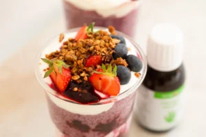 Blaubeer Chiapudding mit Omega-3 norsan rezept