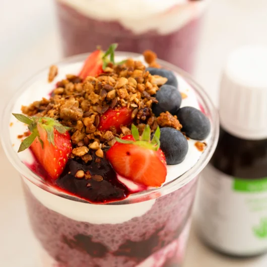 Blaubeer Chiapudding mit Omega-3