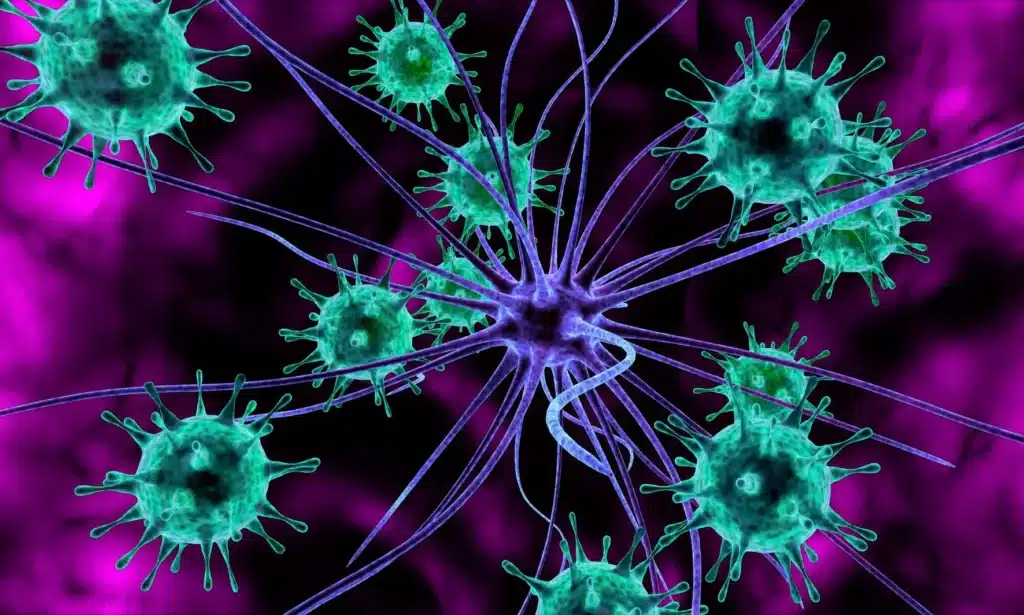 Neue Kraft trotz MS und Chronic Fatigue: Ernährung & Nährstoffe als Therapiechance
