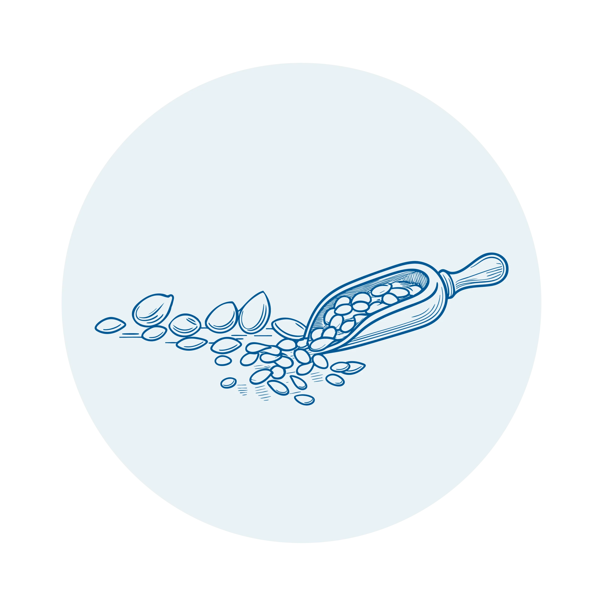 DE_Artikel_Fettleber_Doodles_Ballaststoffe norsan