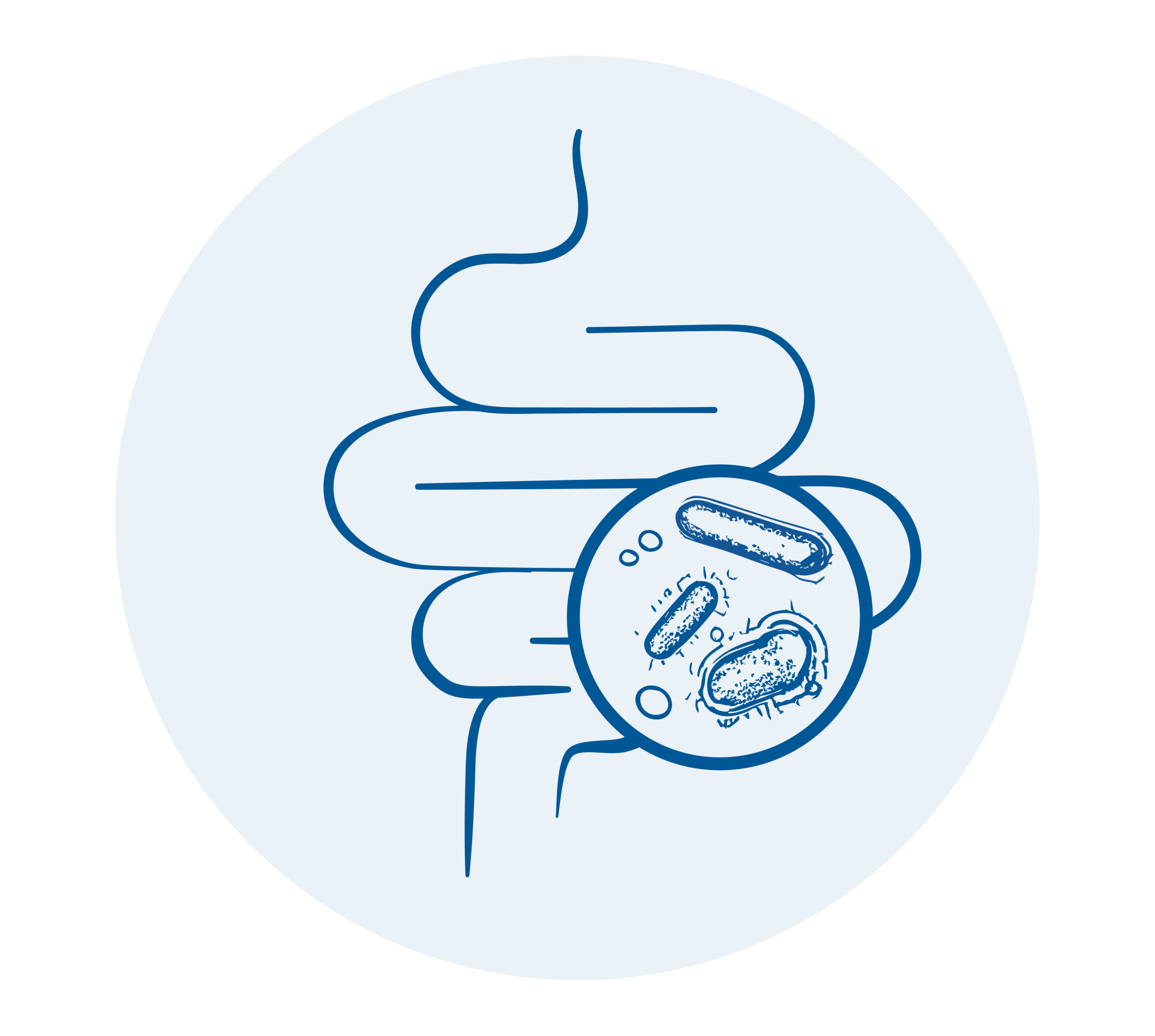 Fettleber_Doodles_Darmmikrobiom norsan omega-3