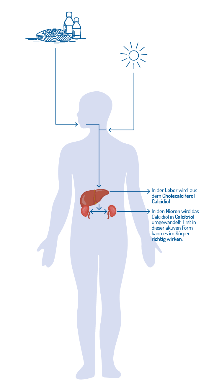 nadarra norsan umwandlung omega-3 vitamin d magnesium