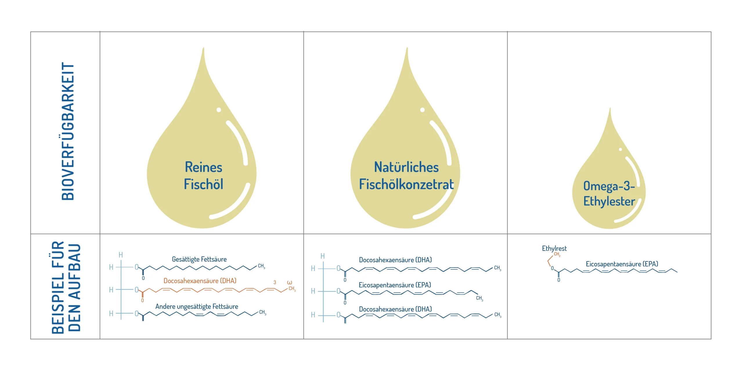 bioverfuegbarkeit-artikel-norsan-omega-3