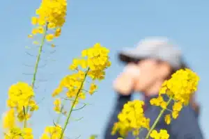 Allergien verstehen und gezielt begegnen Ursachen Tipps und die Rolle von Omega-3 norsan