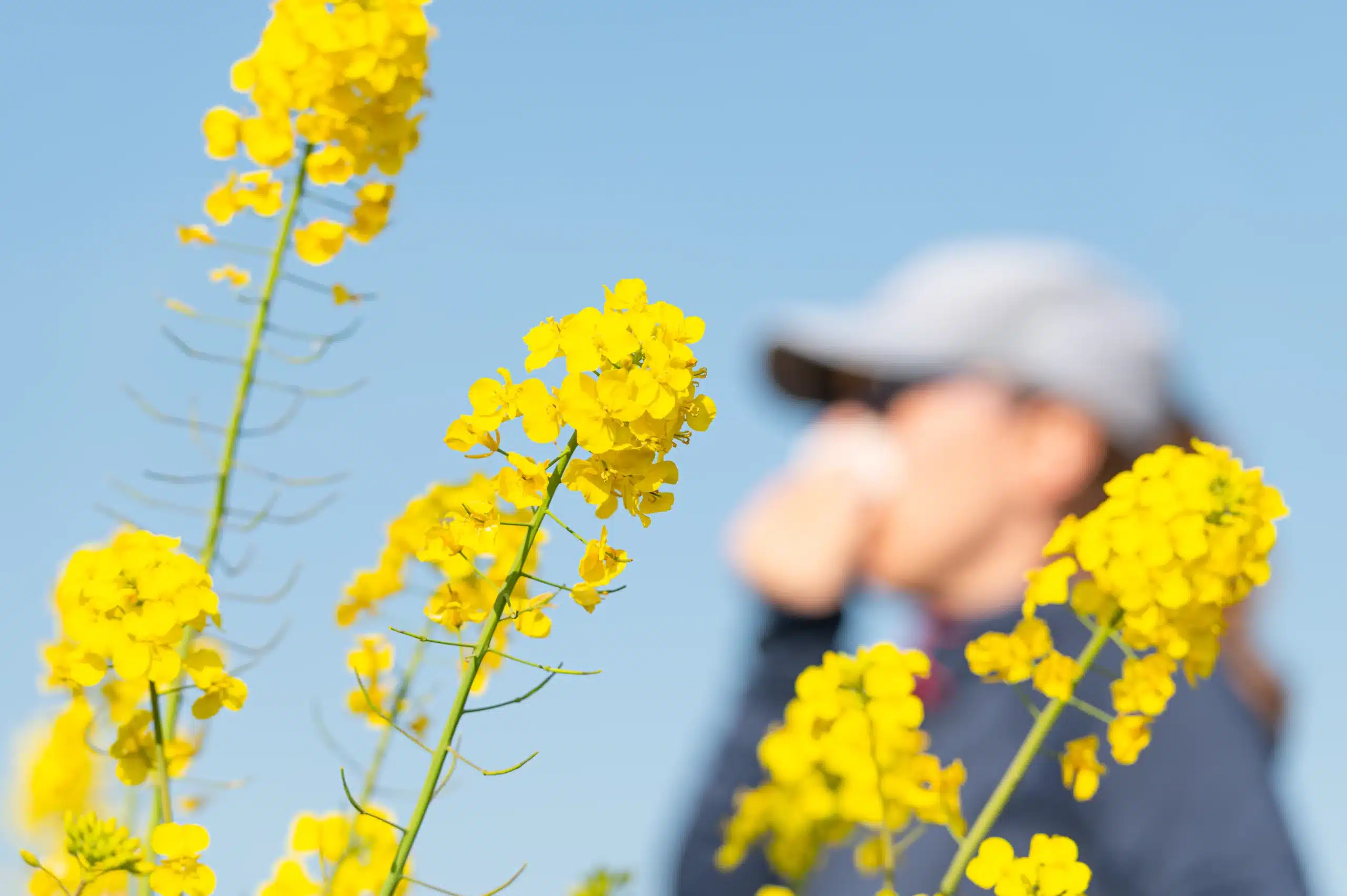 Allergien verstehen und gezielt begegnen Ursachen Tipps und die Rolle von Omega-3 norsan