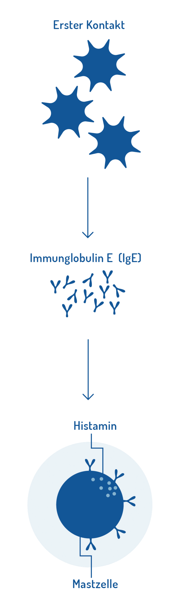 norsan omega-3 allergie erste phase