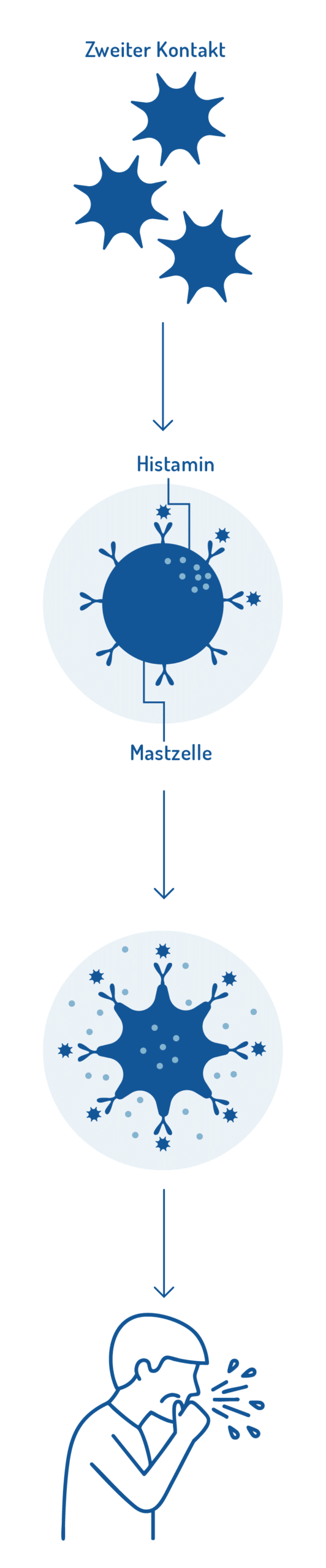 norsan omega-3 allergie zweite phase